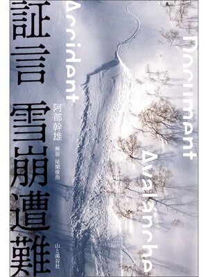 cover image of 証言 雪崩遭難